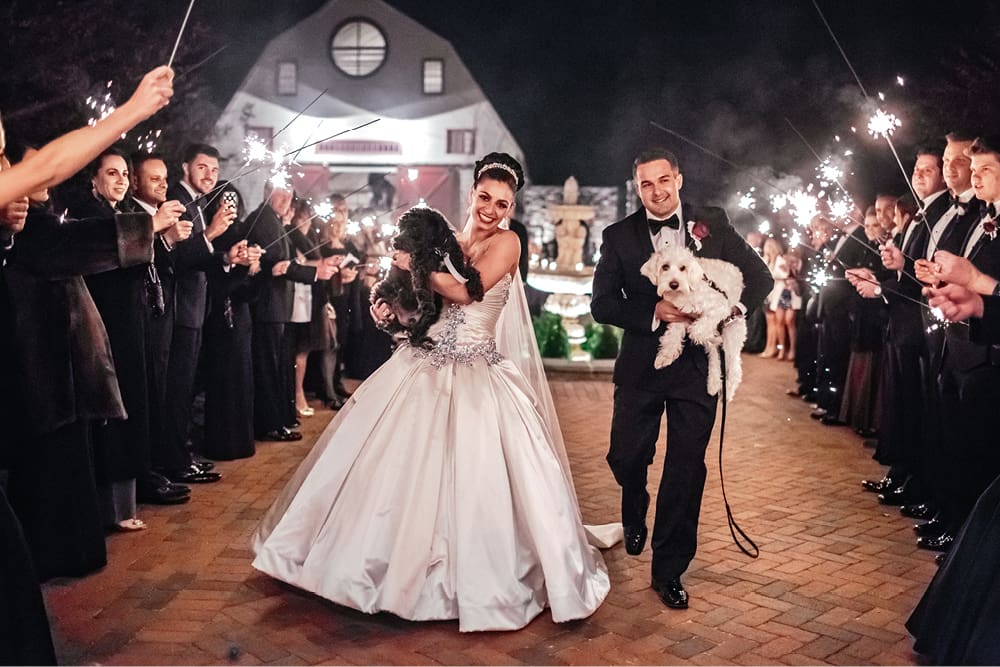 Ashford Estate Wedding Photography | Ashley and James