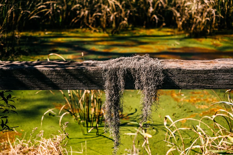 Savannah GA Photography | Travel | The Markows