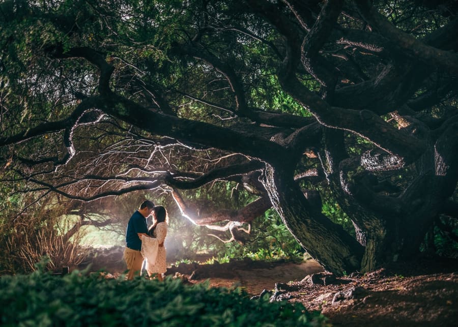 Deepcut Gardens Engagement Photos | Melissa and Vincent
